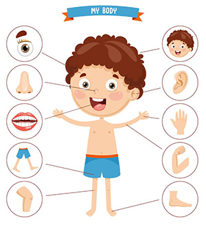 髮線後移點算好？專業植髮幫你重拾自信